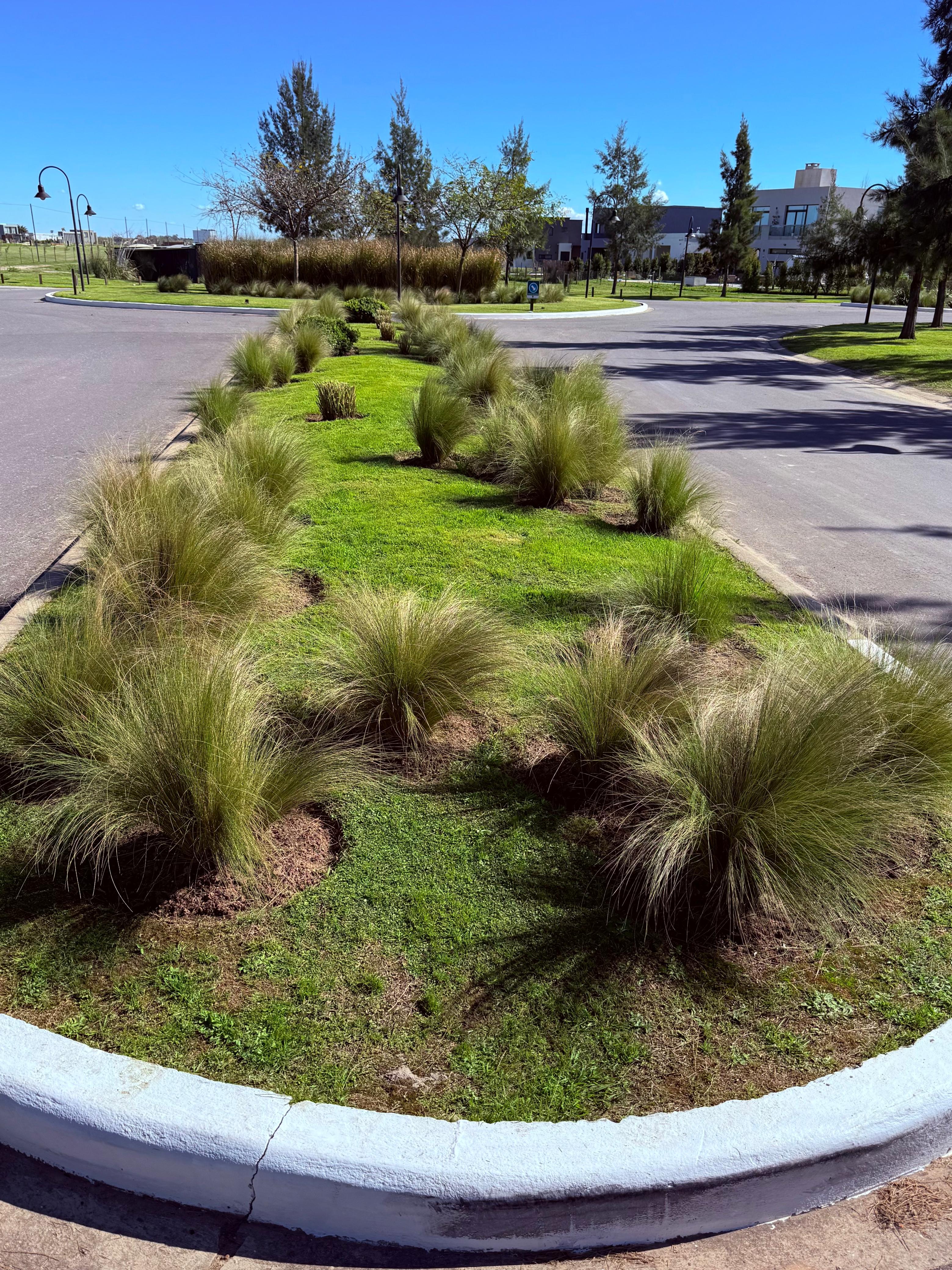 Jardín de entrada al barrio con gramíneas